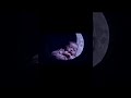 Baby Sleep Sounds 🌙 #BabySleep #DeepSleep #Shorts