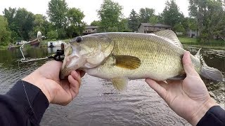 HUGE PIKE, BASS & DOGFISH on BUZZBAITS!!! 