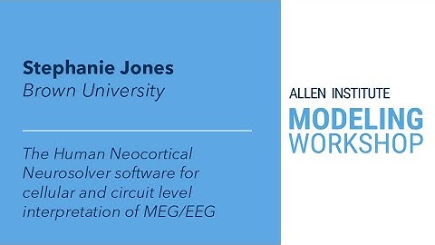 Allen Institute Modeling Workshop | Stephanie Jones