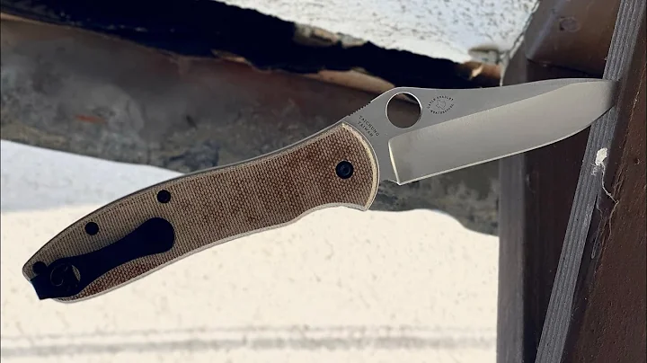 Sharp Dressed Knives Spyderco Gayle Bradley 2 Scal...