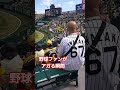 野球ファンがアガる瞬間 #shorts #Baseball #野球 #プロ野球 #阪神タイガース