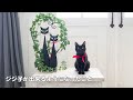 【猫】ルナ子と仲良くなってジジ子が出来るようになったこと！ジジ子主役 ルナ子脇役