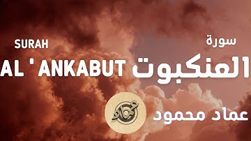 سورة العنكبوت | Surah Al Ankabut القارئ عماد محمود