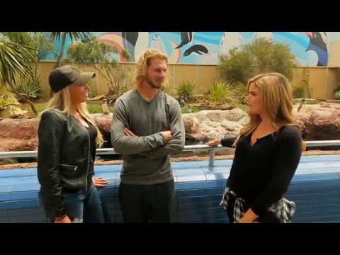 Travis Jankowski and wife, Lindsey, spend a day at Sea World (Part 2) 