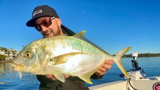 Solid maroochy river golden