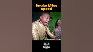 Snake bites Speed🐍