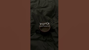 أجمل ما ستسمع بصوت القارئ هزاع البلوشي،سورة الحجر #قرآن #هزاع_البلوشي