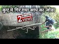 कुएं में गिर गए नर और मादा सांप | Rescue 2 Russell's Viper Snake from Ahmednagar