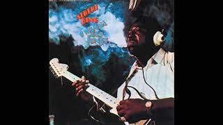 I Can&#39;t Hear Nothing But The Blues - Albert King