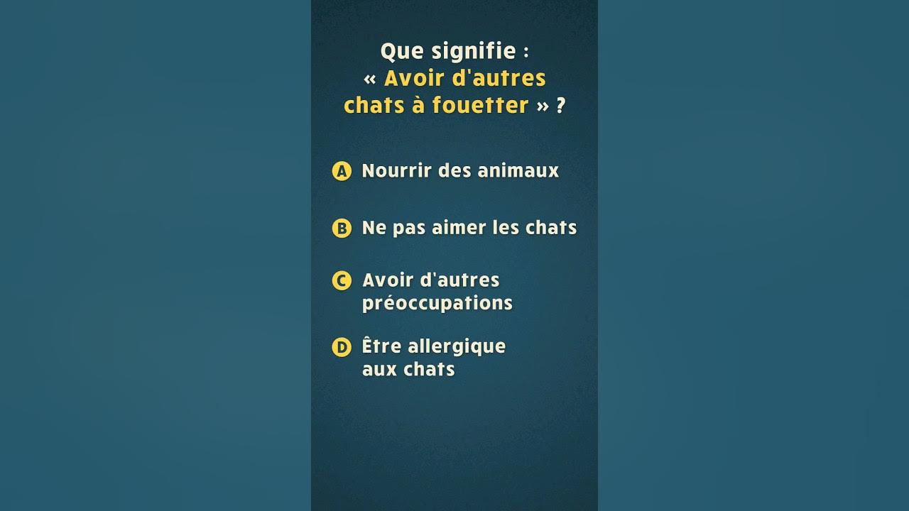 Avoir D autres Chats Fouetter Que Signifie Cette Expression avoir-d-autres-chats-fouetter-que-signifie-cette-expression