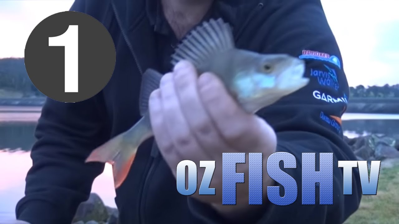 Oz Fish TV Season 4 Episode 1 Blue Rock Lake and Corinella (Part one