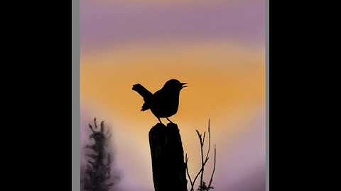 Drawing Bird in Autodesk Sketchbook