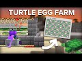 Minecraft Turtle Egg Farm - Hundreds of Eggs/Scutes Per Hour!
