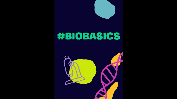 #BioBasics: What are neural crest cells?