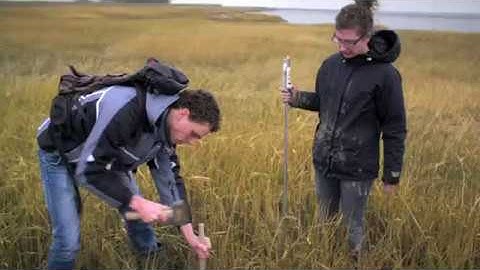 BE SAFE: flood risk reduction using vegetated foreshores