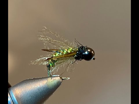 Twisted Caddis