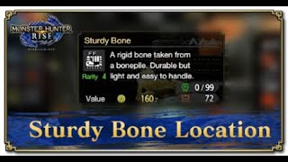 The BEST Lava Caverns Bonepiles Farming Route for Sturdy Bone | Monster Hunter Rise