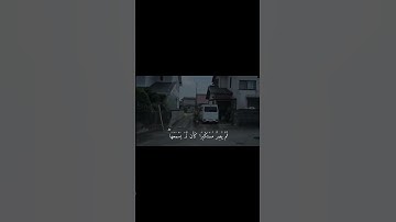 اكتب شيء تؤجر علية🤍🫀القارئ الشيخ (ياسر دوسري)#قرآن #اكسبلور #قران_كريم #خشوع #ياسر_الدوسري