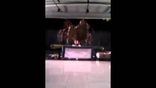Wayang daun : 01 screenshot 4