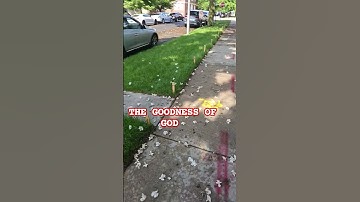 Thumbnail of WHEN YOU ASK GOD TO ORDER YOUR STEPS