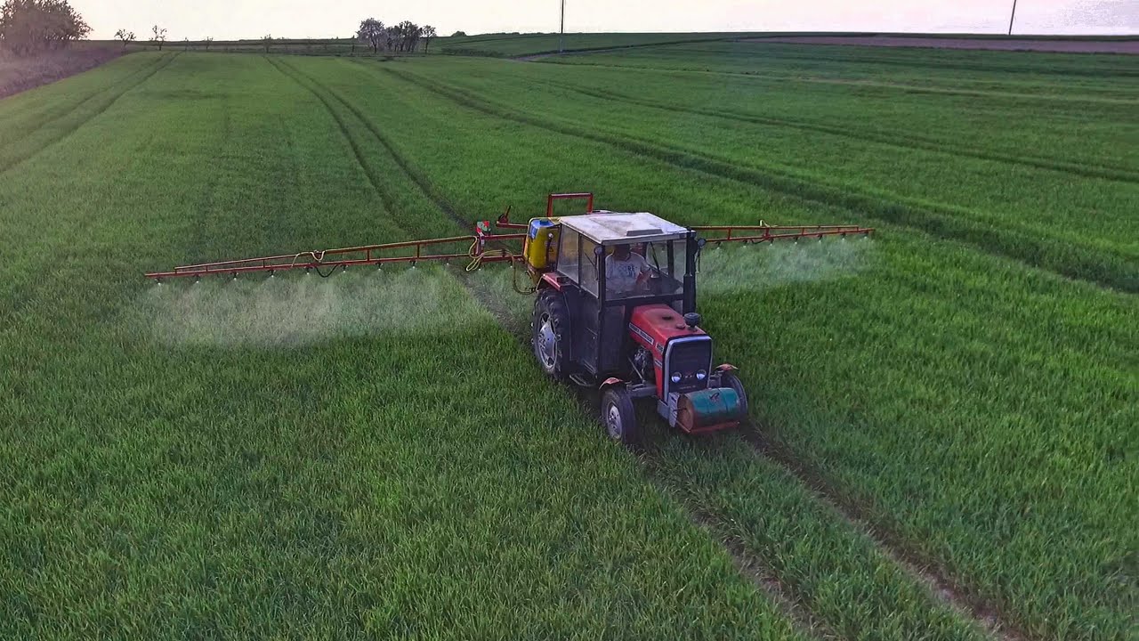 Opryski 2020 Z Lotu Ptaka! Massey Ferguson Tad-Len 600 Dji Phantom Świętokrzyskie Spraying