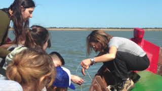 Webinar on Science Outdoor Education: challenges in science teacher training
