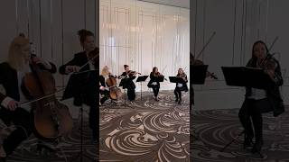 Christina Perri  &quot;Thousand years&quot; string quartet cover.