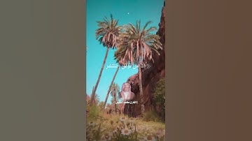 ﴿أفلا ينظرون إلى الإبل كيف خلقت﴾ [الغاشية: ١٧] القارئ محمد السبيل