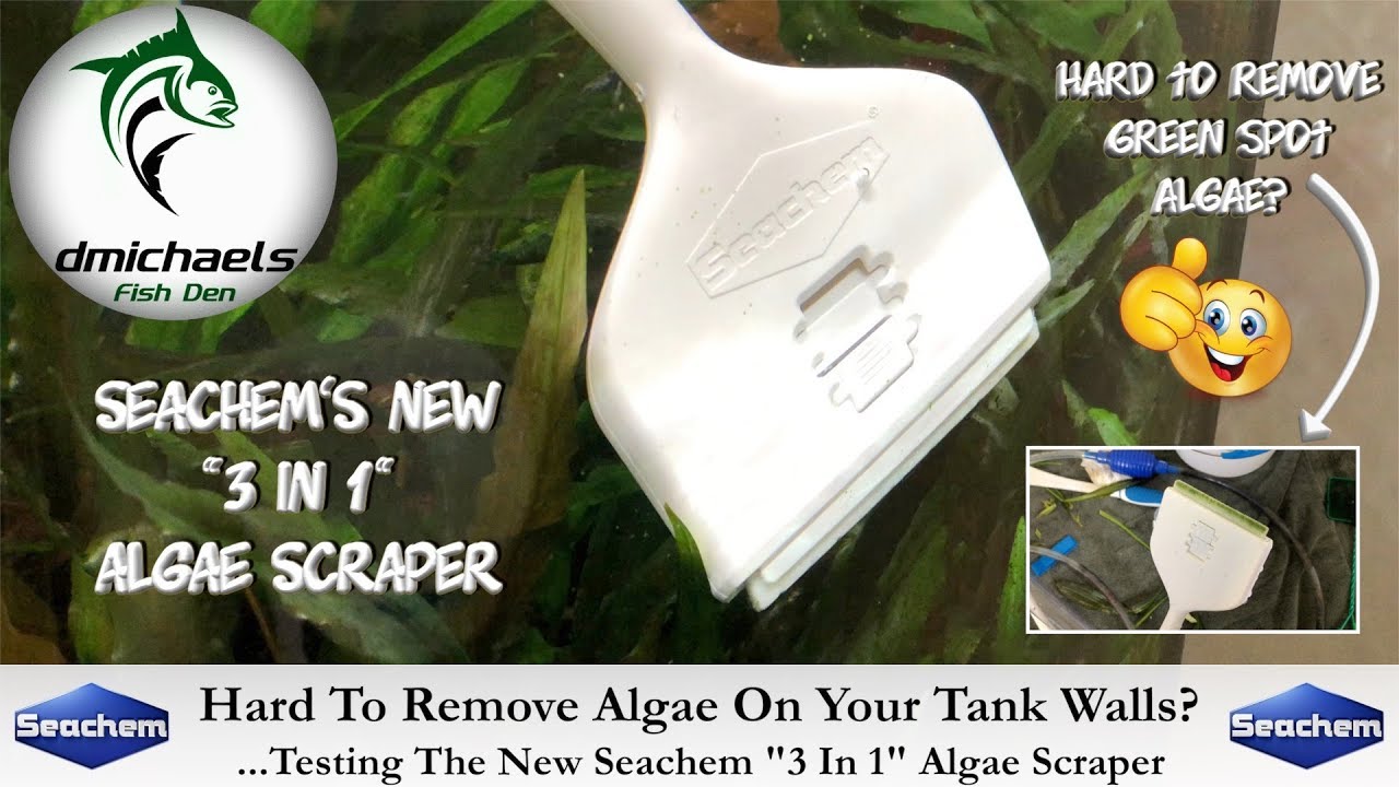 Hard To Remove Algae On Your Tank's Walls?...Testing The New Seachem "3