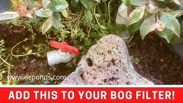 Breather pipe for a bog filter