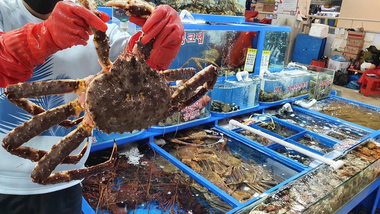 가락시장에서 살수율 90% '킹크랩'은 여기로 가세요