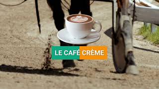 Le Café des Turfistes - Vendredi 31 mai