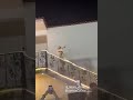 اخيرا اغنيه تمني في خطوبه تاتا واحمد ابراهيم اخيرا اغنيه تمني في خطوبه تاتا واحمد ابراهيم