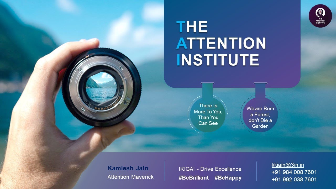 The Attention Institute - Signature Learning Solutions - 2022