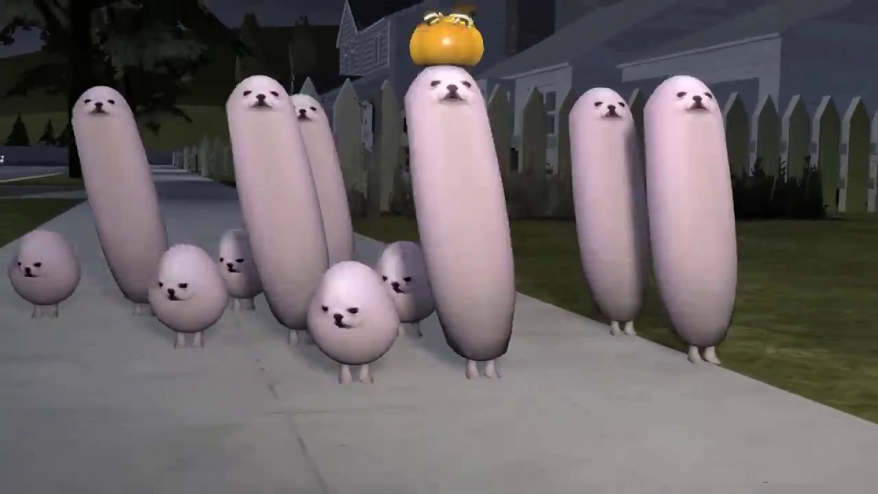 Egg dog trick or treat YouTube