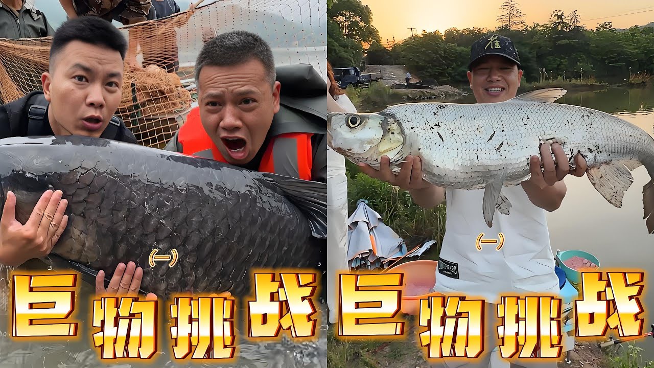 刚收150斤大青鱼又遇镇塘巨物，难兄难弟这次总算能扬眉吐气了｜所有准备工作都已做好，就等大鱼上岸