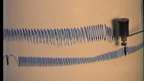 Amphibian experiments - Experimental Physiology Part 2