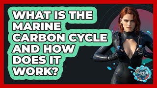 What Is The Marine Carbon Cycle And How Does It Work? - The Marine Life Explorer