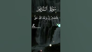 سورة الروم  آية 59 _ 60 @أجملتلاواتالقرآنالكريم-ض8ظ @Al-Quran_Al_Kareem__FERCHICHI @Quran_Best_Voices
