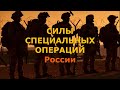 День Сил Специальных Операций (ССО) Вооружённых Сил России...