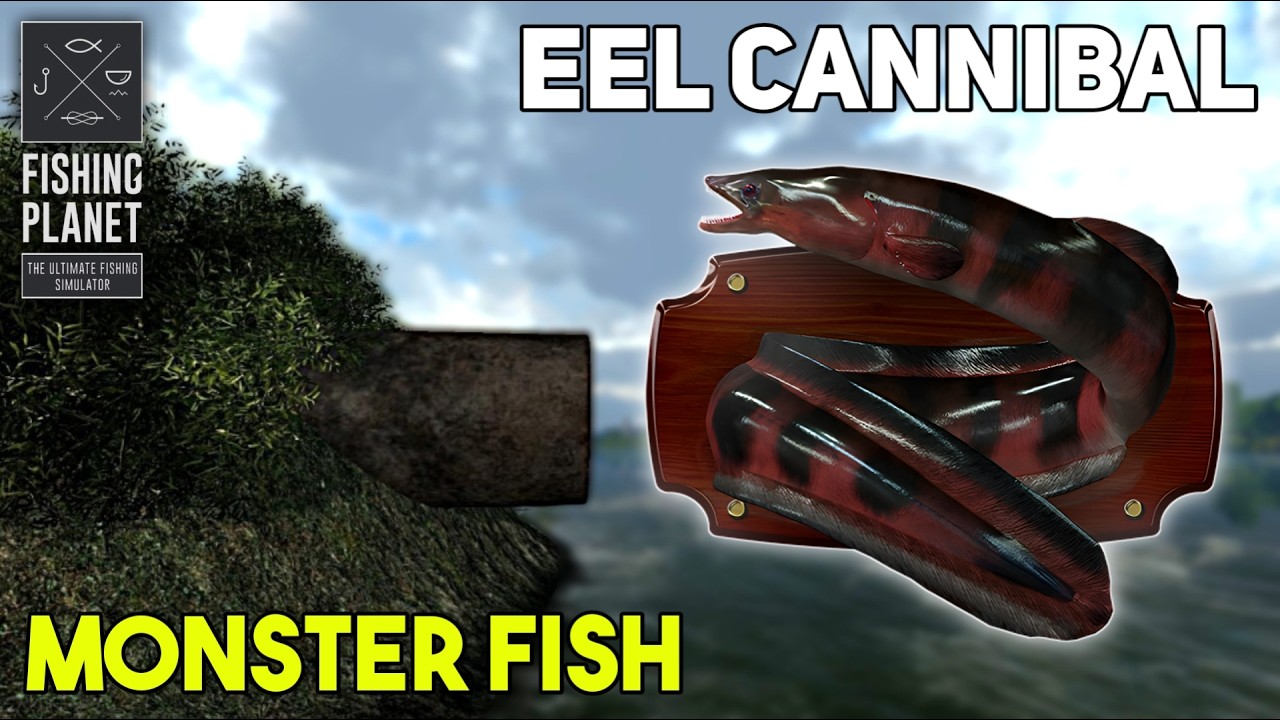 MONSTER FISH EEL CANNIBAL GHENT-TERNEUZEN CANAL - FISHING PLANET