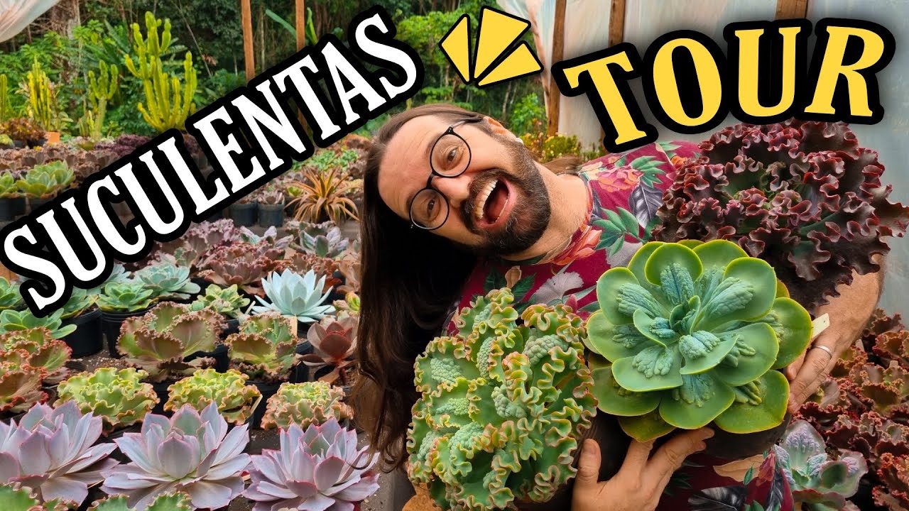 TOUR PELAS SUCULENTAS - LOUCURA TOTAL!!!