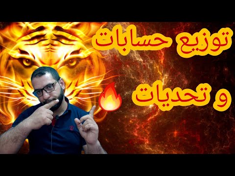 فيديو: كم عدد المتابعين لشيمبي؟