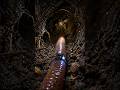 Earthworm POV Inside Underground Tunnel (AI Simulation) | Micro World Exploration