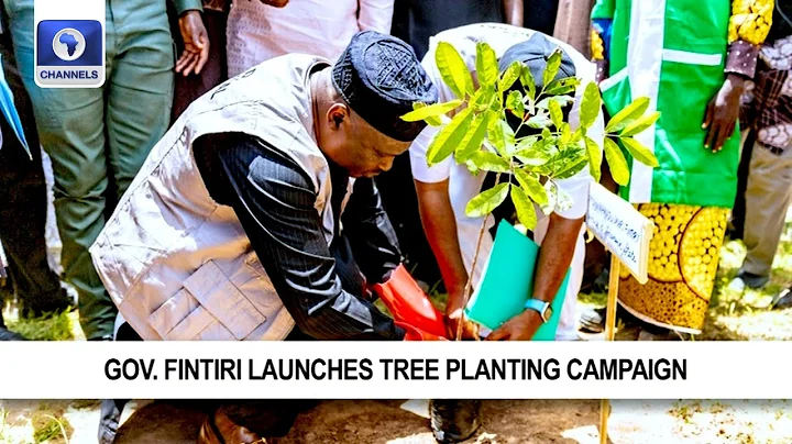 Adamawa Launches Tree Planting Expanded Campaign