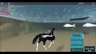 Roblox Horse World Unicorn And Aqua Horse Gamepass Apphackzone Com - horse world roblox game pass