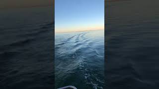 Maxi Maxim - Til Salg På Bådmarkedet Scanboat