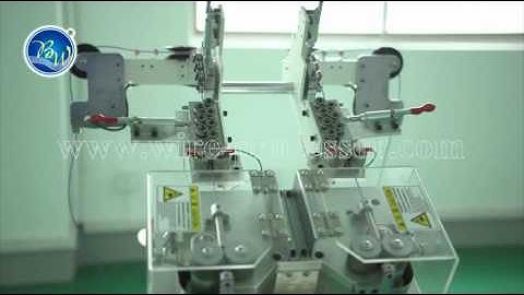 BW-2.0+SX Full automatic double wires and ends terminal crimping machine