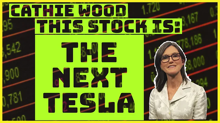 Cathie Wood: These Stocks Will Be The Next Tesla! ...