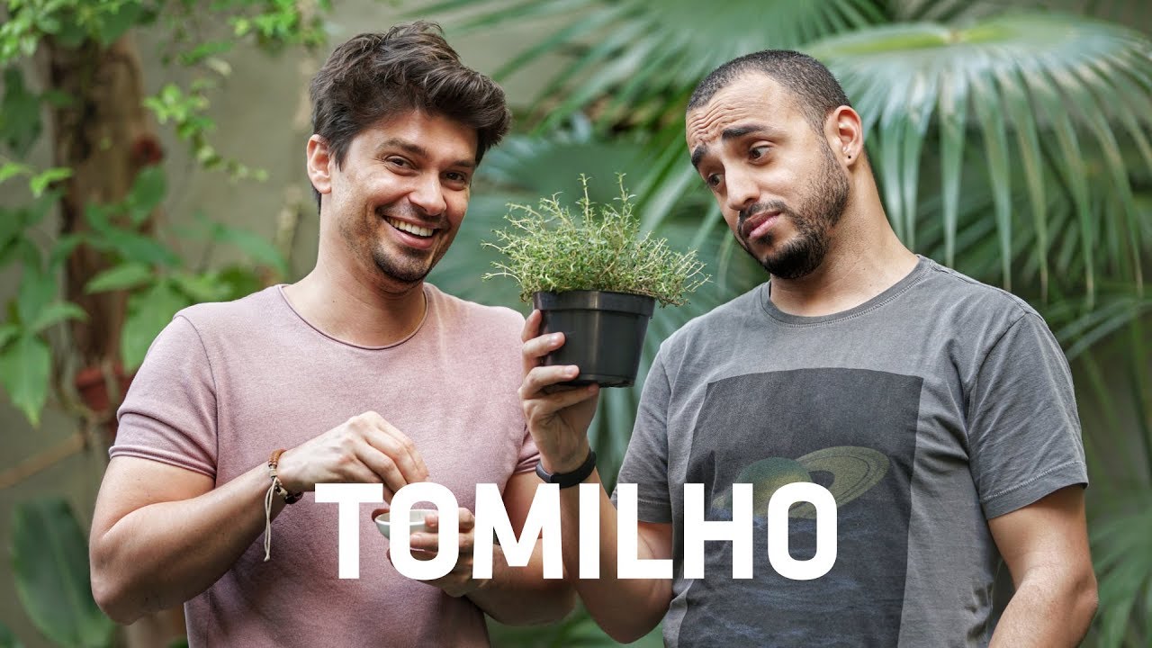 TOMILHO: Como e onde usar, Conservar e Plantar | Especial Temperos & Ingredientes